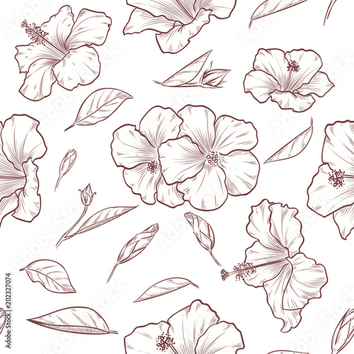 Vector hand drawn hibiscus seamless pattern photo