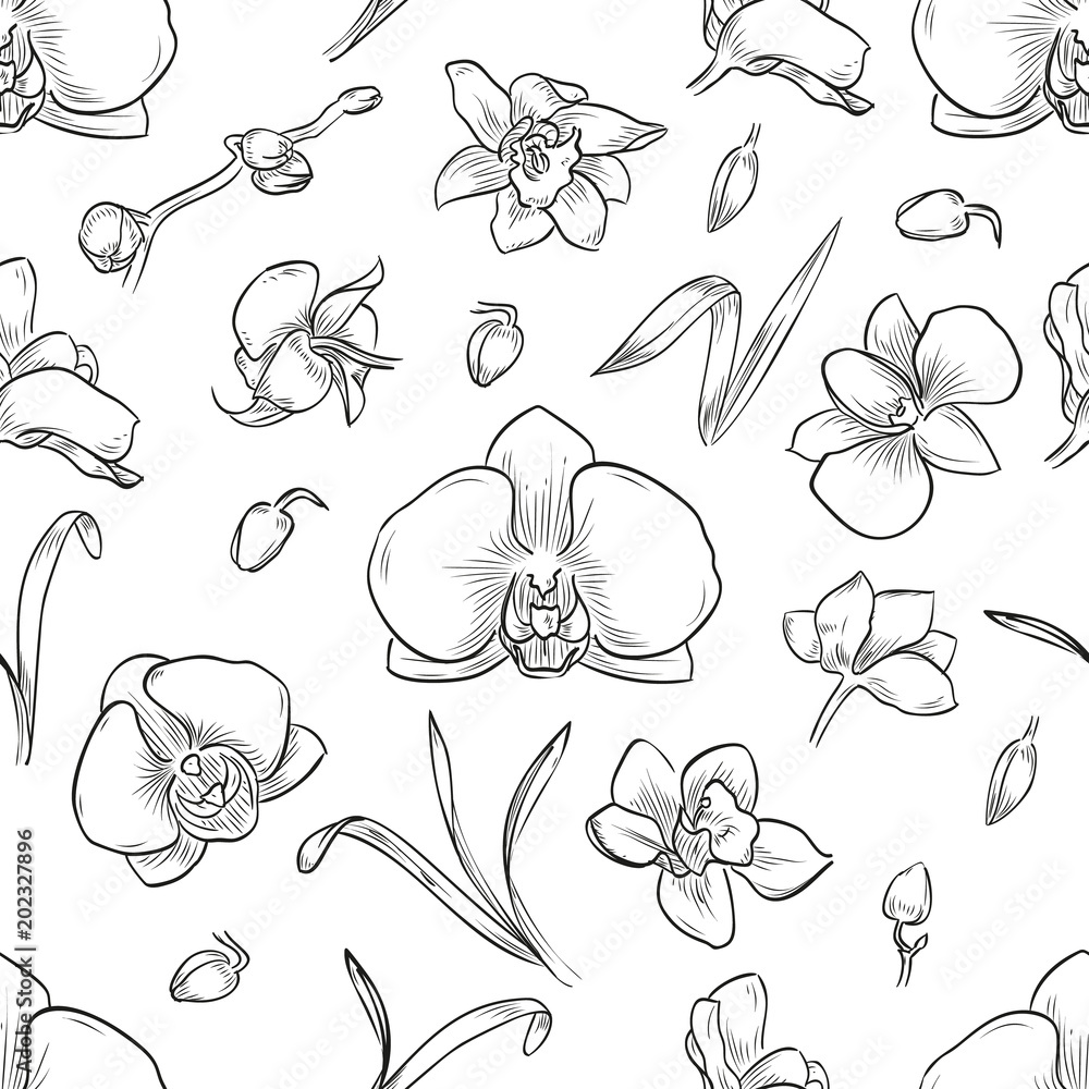 Fotografie Vector lisianthus flowers and leaves