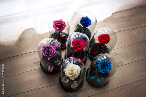Roses in a flask under the glass. As a gift for the holiday. photo
