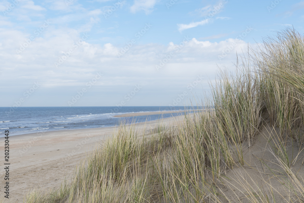 Sand dunes with grass at the beach and sea view