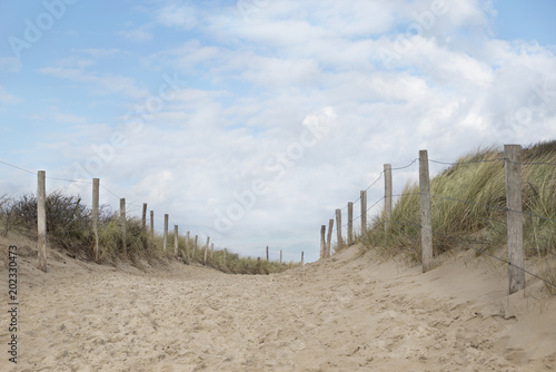 Path in the dunes to the beach