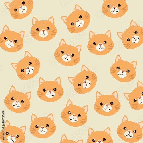 Fototapeta Naklejka Na Ścianę i Meble -  cute cats heads pattern characters vector illustration design