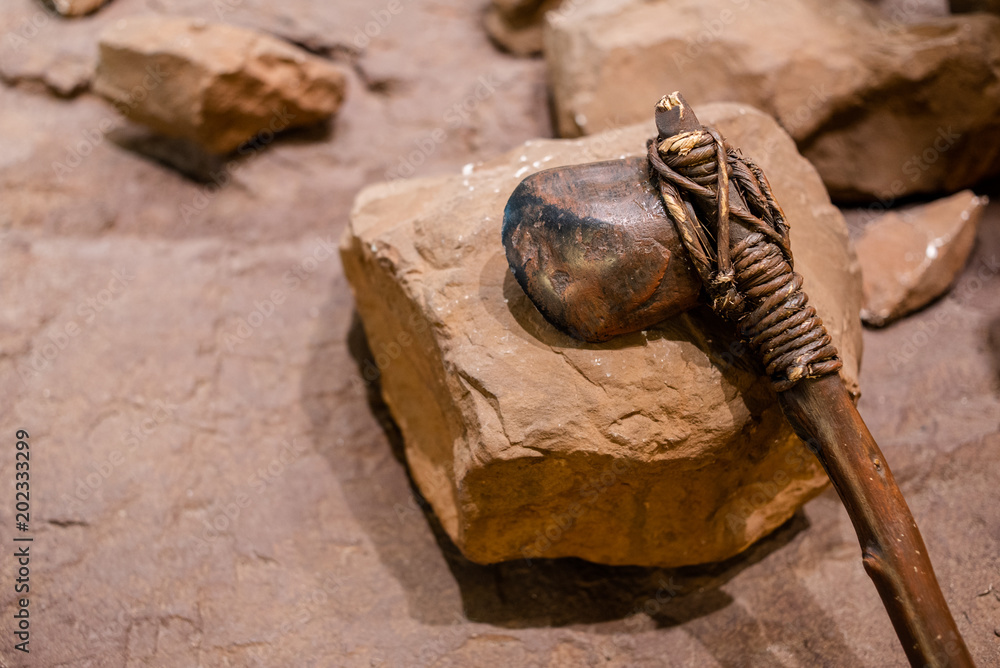 Ταπετσαρία Ax stone tool of stone age it wepon for the war