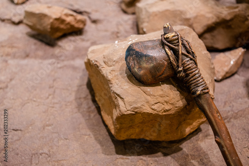 Ax stone tool of stone age it wepon for the war
