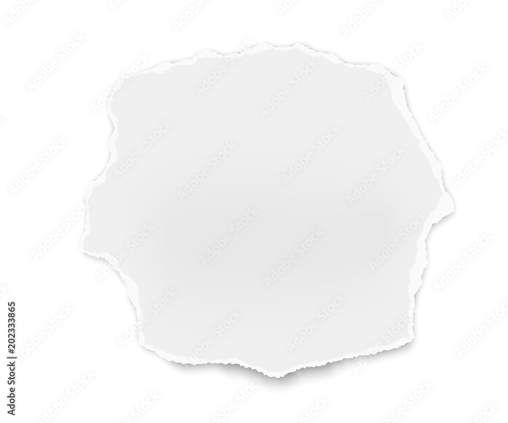 Ripped paper tear isolated on white background. Vector template paper design.
