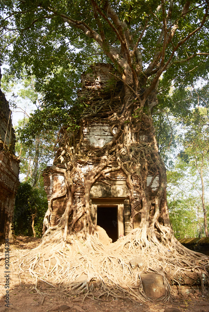 Obraz premium Prasat Pram Temple Koh Ker Complex