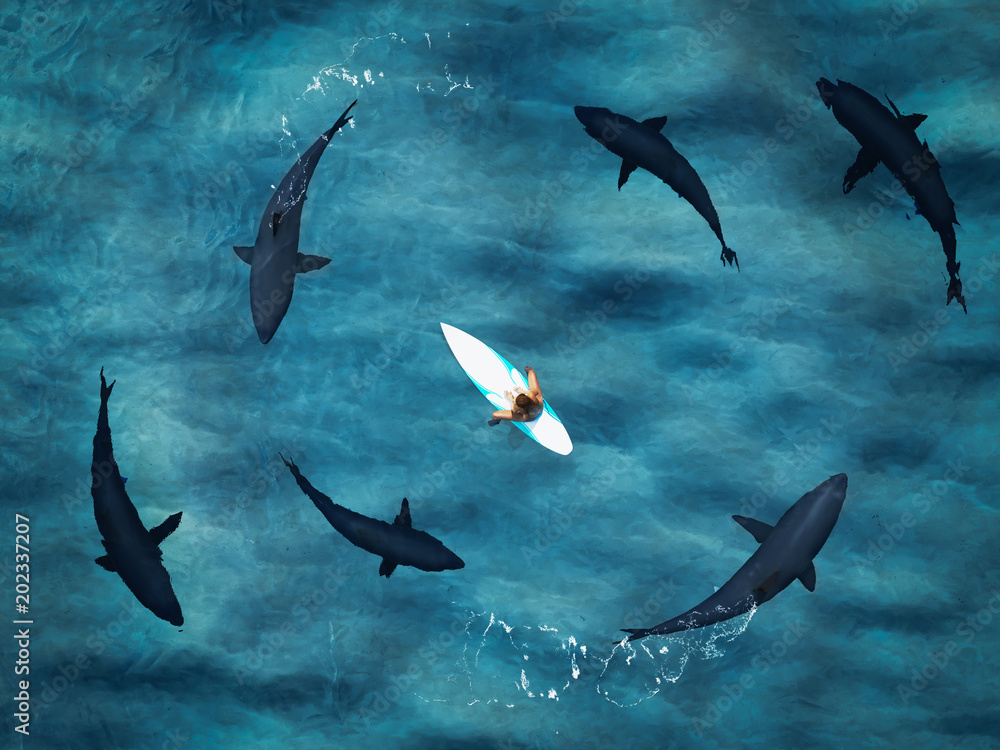 Fototapeta premium surfer surrounded from six sharks. drone view. 3d rendering