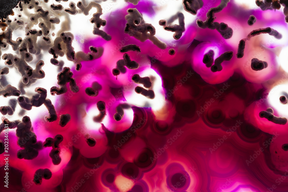 Abstract background, purple and pink agate mineral cross section