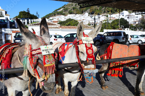 Photo Donkey taxis lined up in Mijas Pueblo