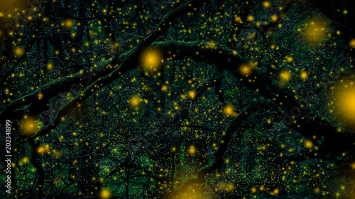 Foto Dark green forest with many yellow fireflies