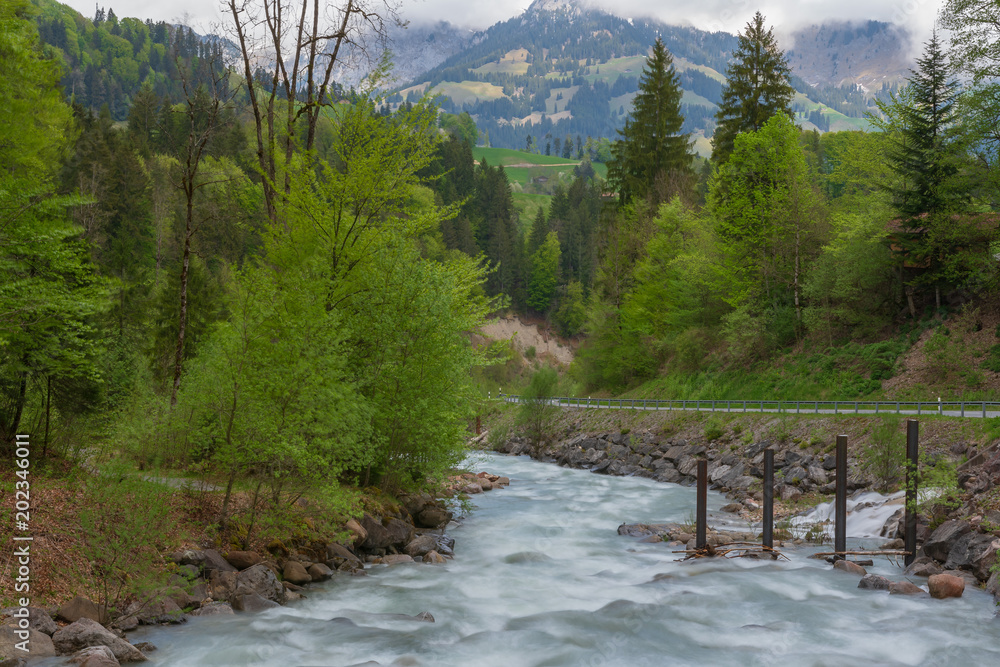 Fototapeta premium Bachverlauf mit Berge