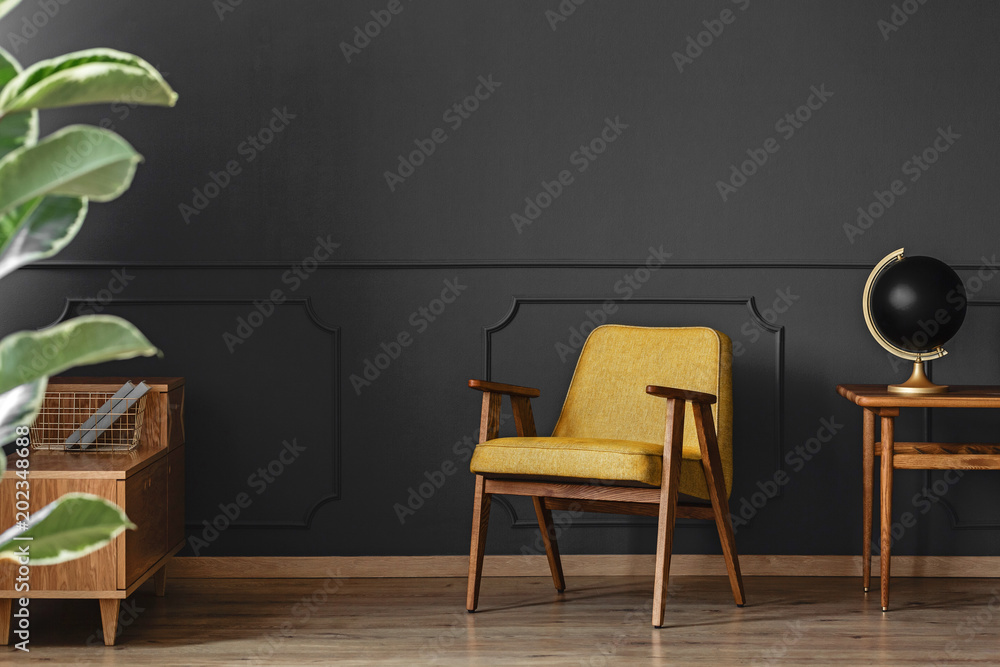 Fotografie Leaves, armchair and globe