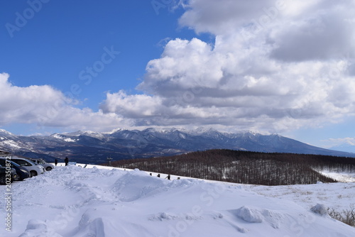冬の高原