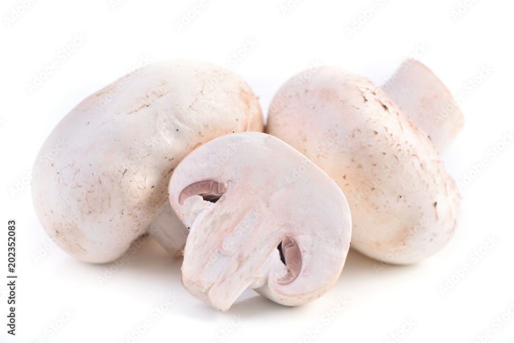 Mushrooms champignon Mushrooms champignon