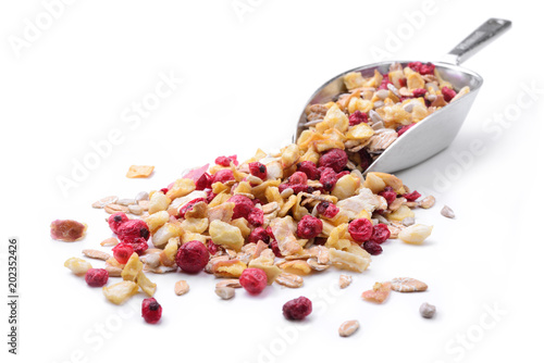 Muesli, a mixture of cereals, red fruits and apple photo