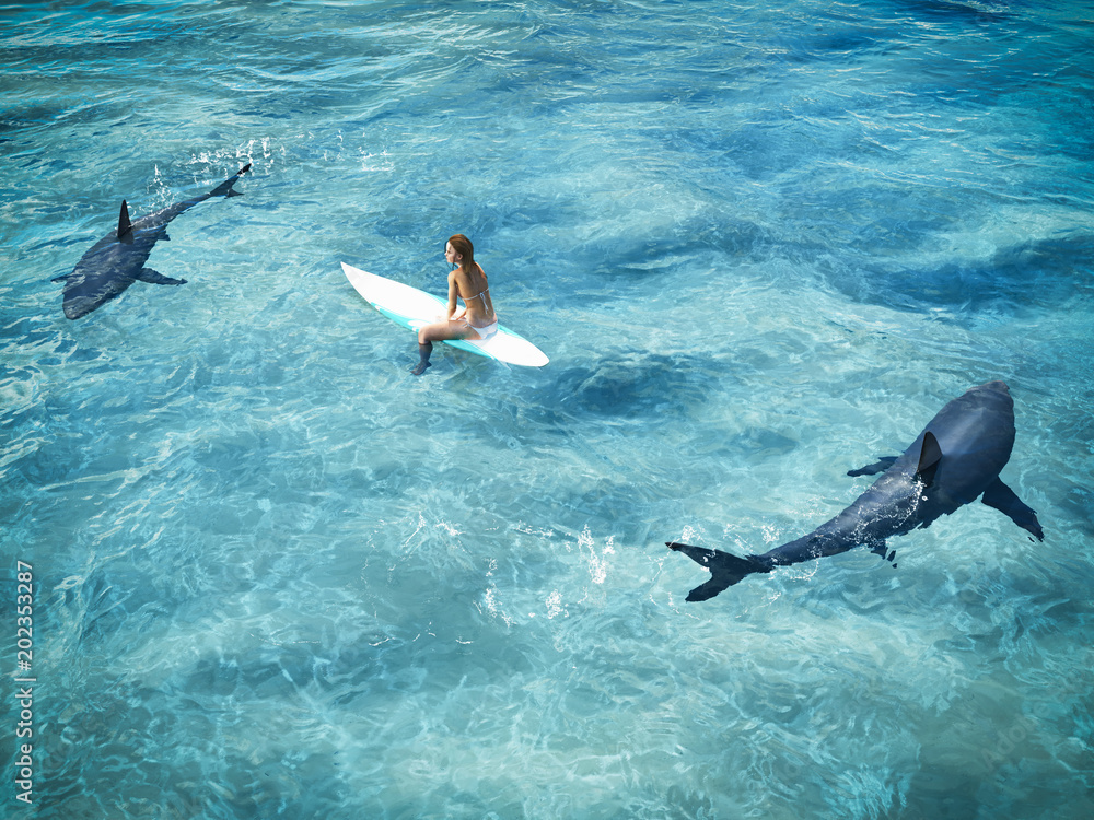 surfer surrounded from two sharks. drone view. 3d rendering Photos | Adobe  Stock