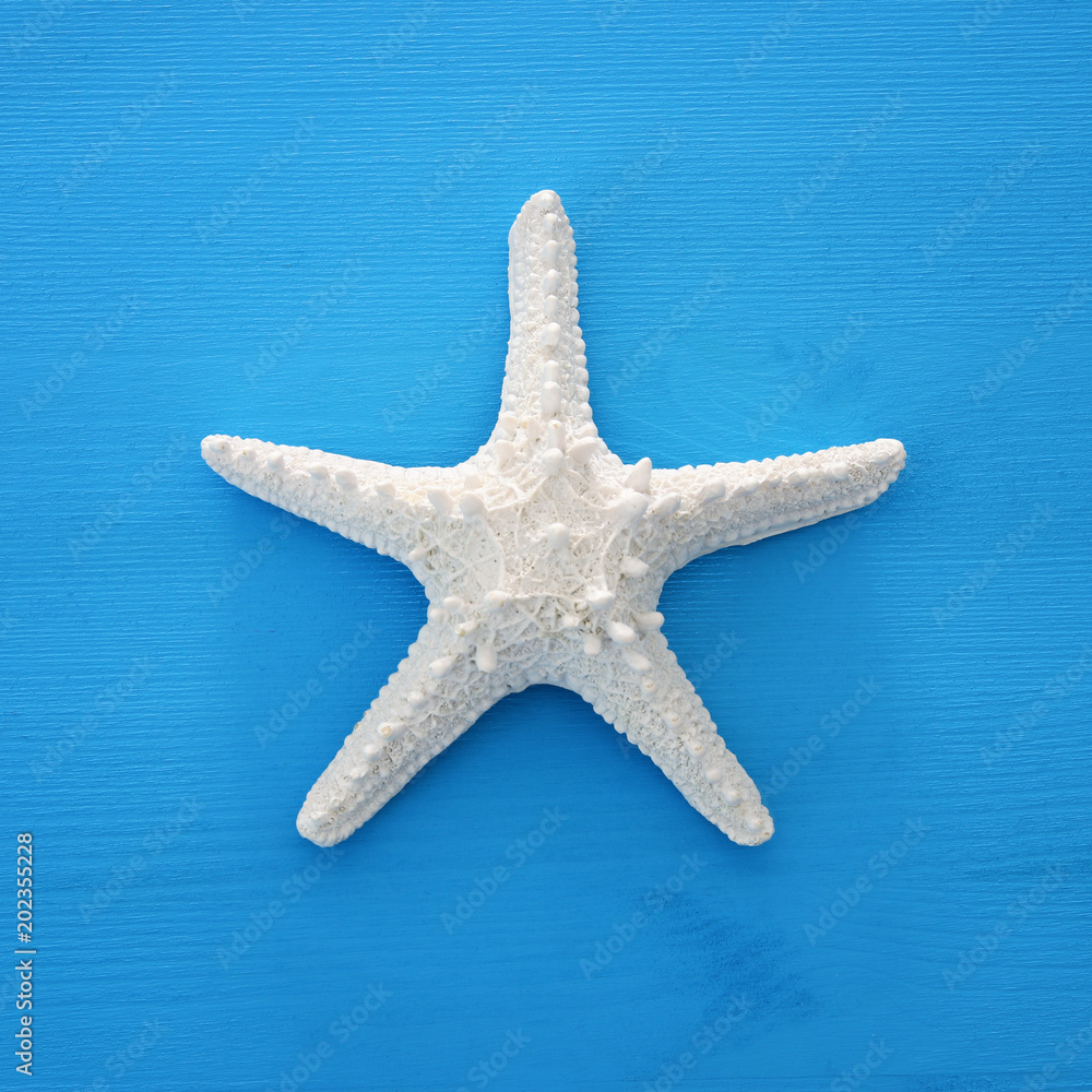 vacation and summer image with starfish over blue wooden background. vacation and summer image with starfish over blue wooden background.