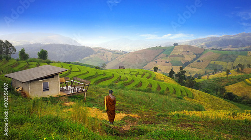 The monk on rice staircase field in Chiang Mai, sunset