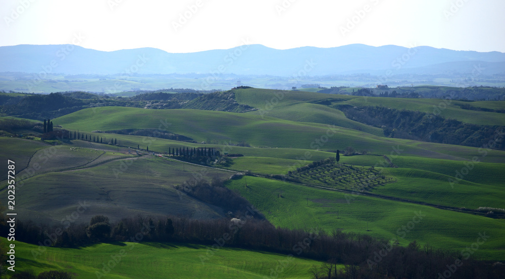 crete senesi 1 crete senesi 1