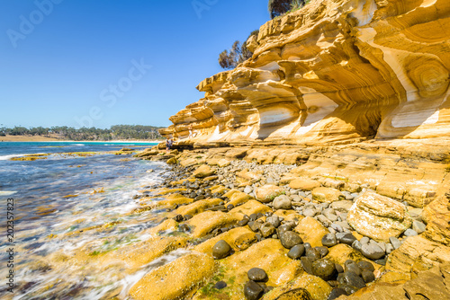 Amazing coast line called Painted Cliffs with orange yellow colored sand limestone rocks and geology structures at shore, perfect expedition on warm sunny clear day, Maria Island, Tasmania, Australia photo