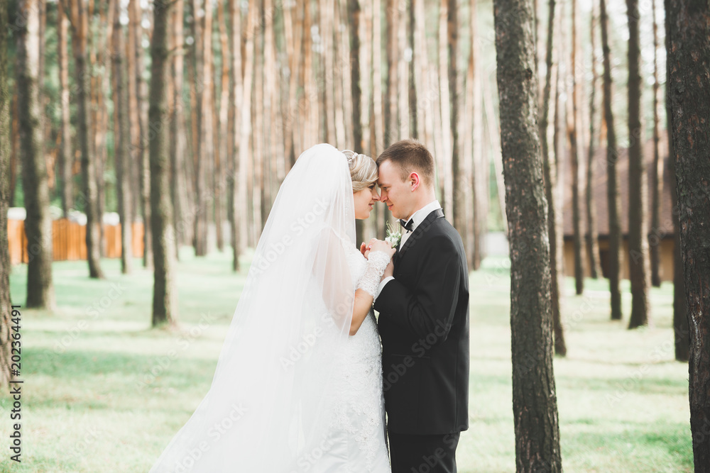 Happy wedding couple walking in a botanical park Happy wedding couple walking in a botanical park