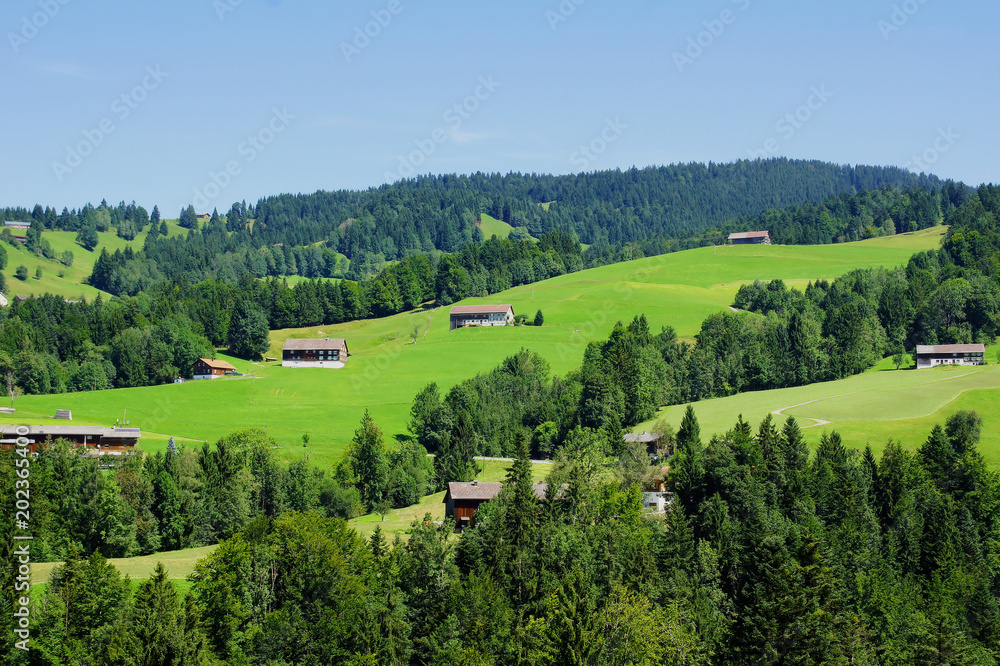 grüne Berglandschaft nördlich von Hittisau in Österreich mit Blick Richtung Oberstaufen
