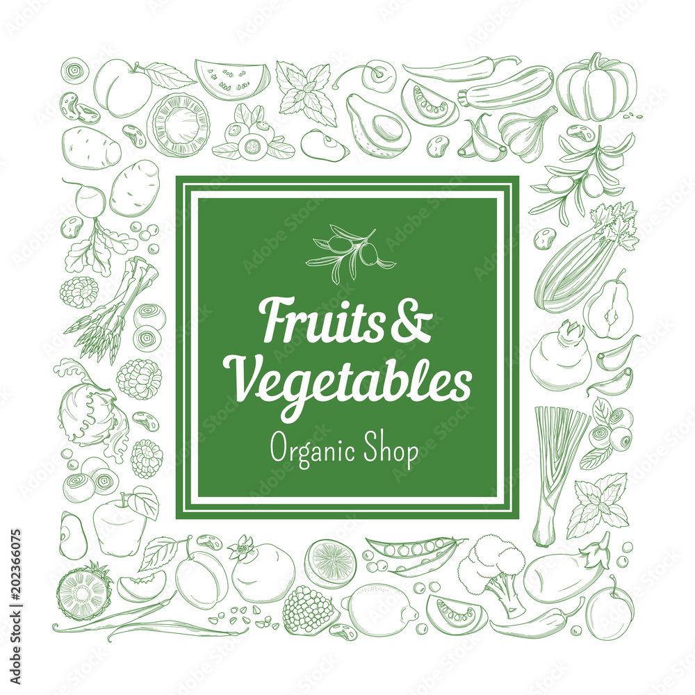 Frame border background pattern of green organic farm fresh tropical fruits and vegetables. Vector illustration. Sketch doodle outline line flat style design. White backdrop label grocery products Frame border background pattern of green organic farm fresh tropical fruits and vegetables. Vector illustration. Sketch doodle outline line flat style design. White backdrop label grocery products