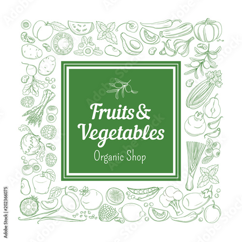 Frame border background pattern of green organic farm fresh tropical fruits and vegetables. Vector illustration. Sketch doodle outline line flat style design. White backdrop label grocery products