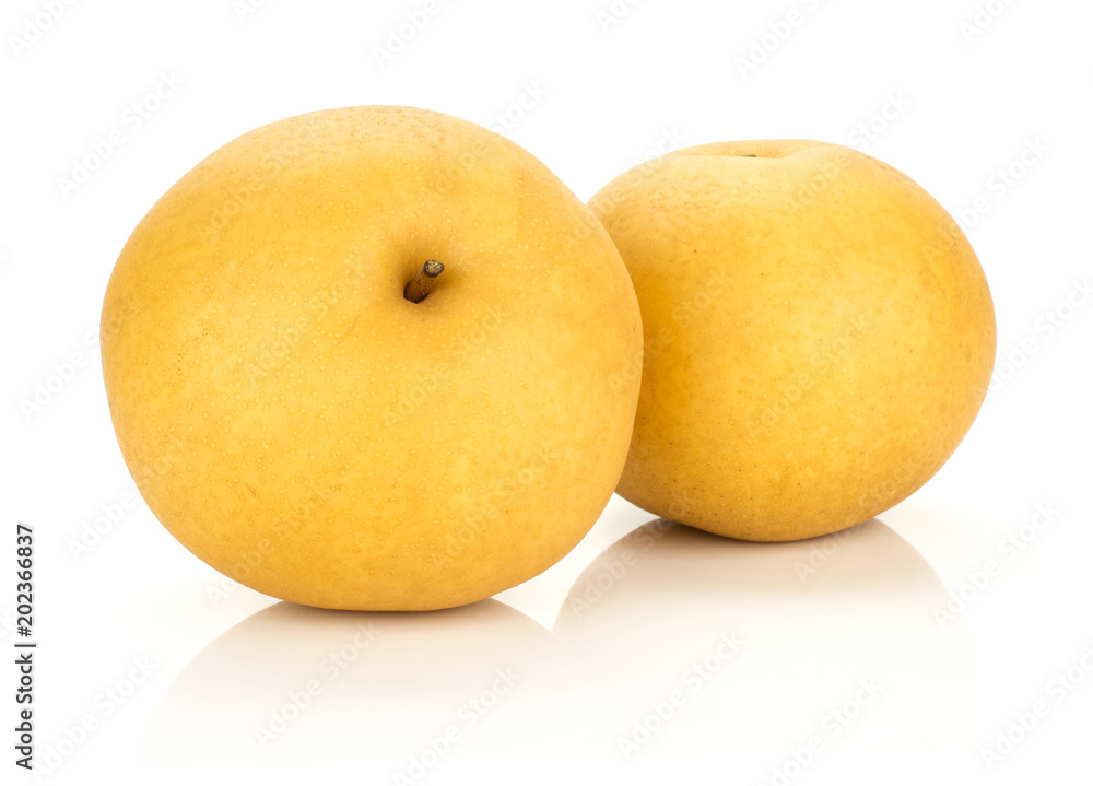 Chinese golden pears Nashi variety isolated on white background two whole round.