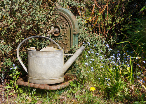 Arrosoir en zinc et fontaine en fonte