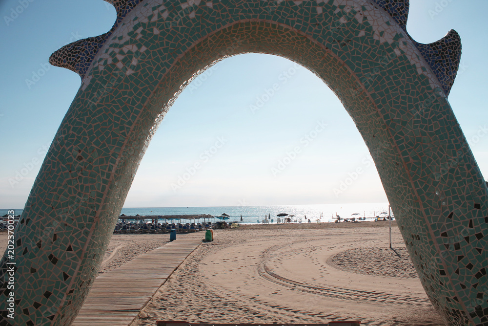 Obraz premium arco de cola de dragon a la playa