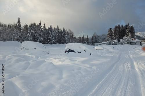 雪に埋まった自動車 © Mark T