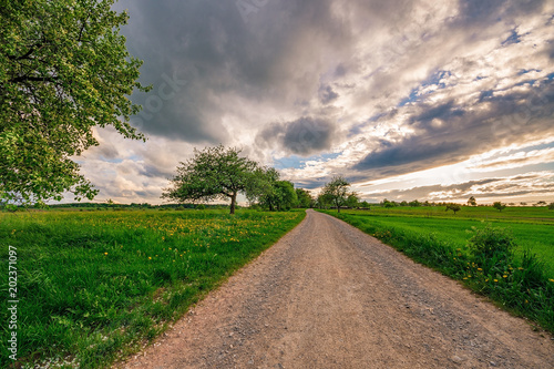 A street in the fields in summer with some clouds and trees