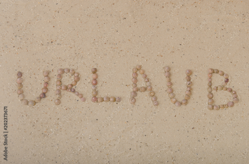 Fototapeta premium Schrift im Sand mit Schneckenhäusern
