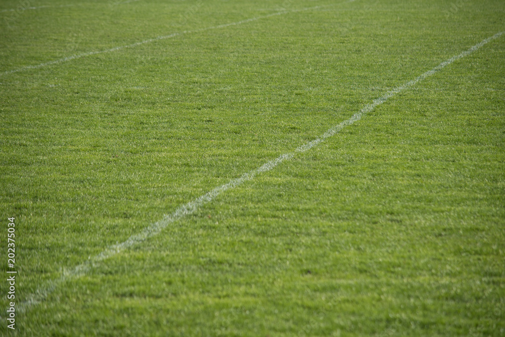 Obraz premium Field for football