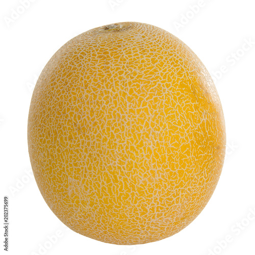 Fresh yellow melon over white background