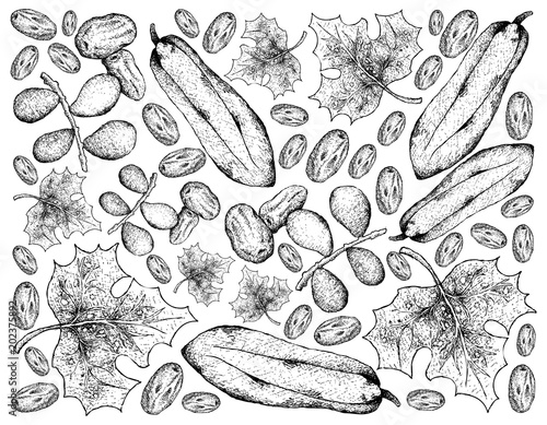 Hand Drawn Background of Dates and Babaco Papaya Fruits