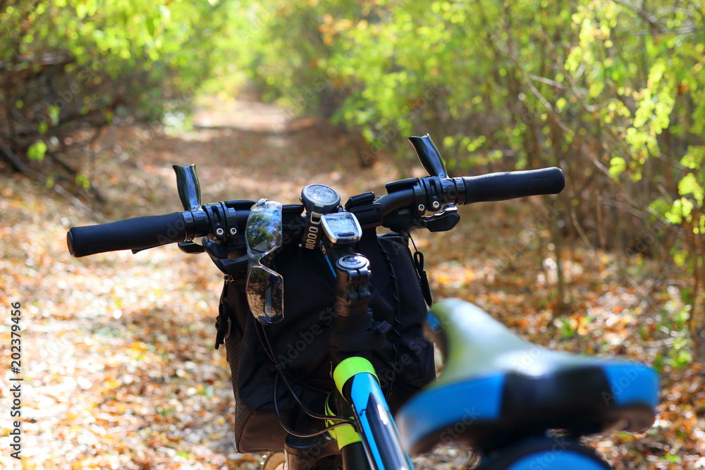 Εκτύπωση καμβά A bicycle on a trail in yellow leaves in an autumn forest