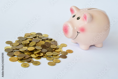 Piggy bank photo