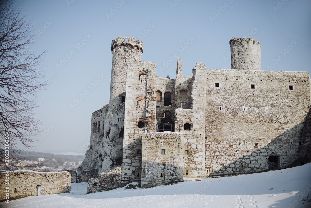 Zamek Ogrodzieniec castle, Old ruins in Poland