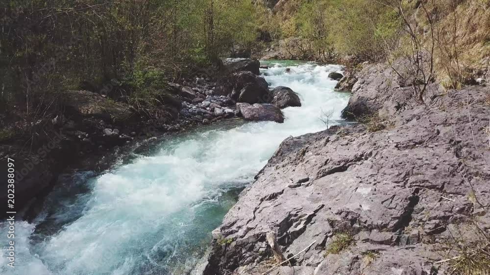 river in a forest, aerial cinematic view shot from 4k drone in summer river in a forest, aerial cinematic view shot from 4k drone in summer