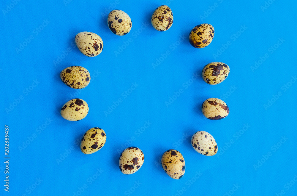 twelve quail eggs stacked around a circle with a place under the text in the center on a blue background twelve quail eggs stacked around a circle with a place under the text in the center on a blue background