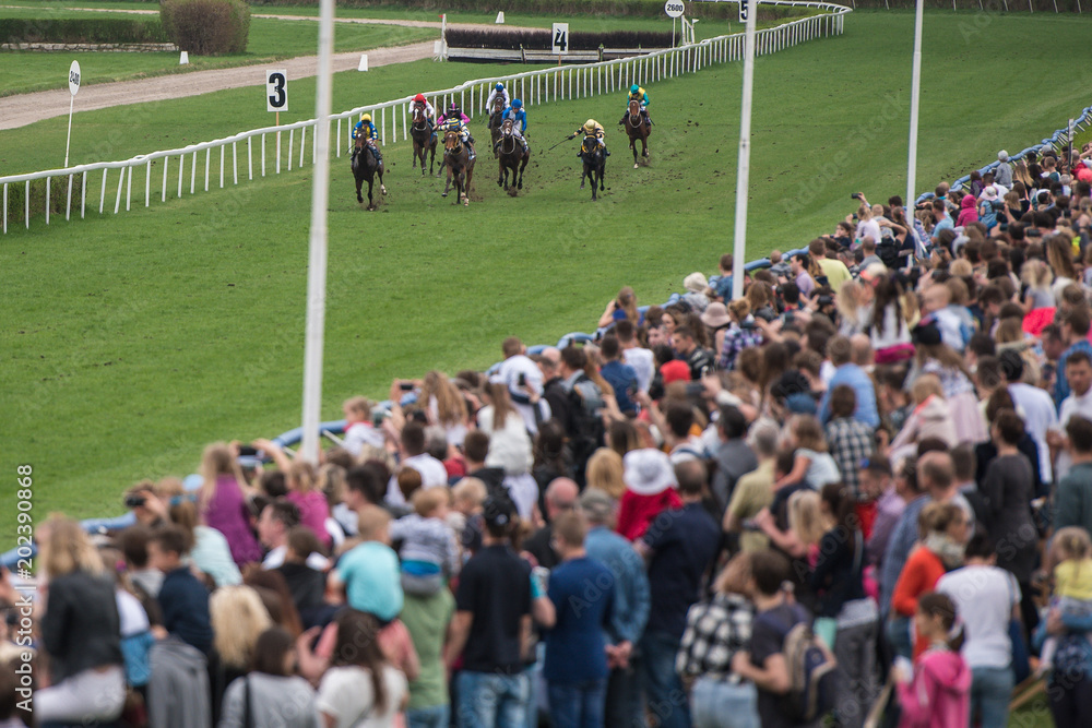Canvas Print Horse race and the audience.