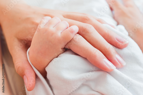 Newborn baby holding his mother finger. Hands  of tiny baby and adult woman. Moment of tenderness.