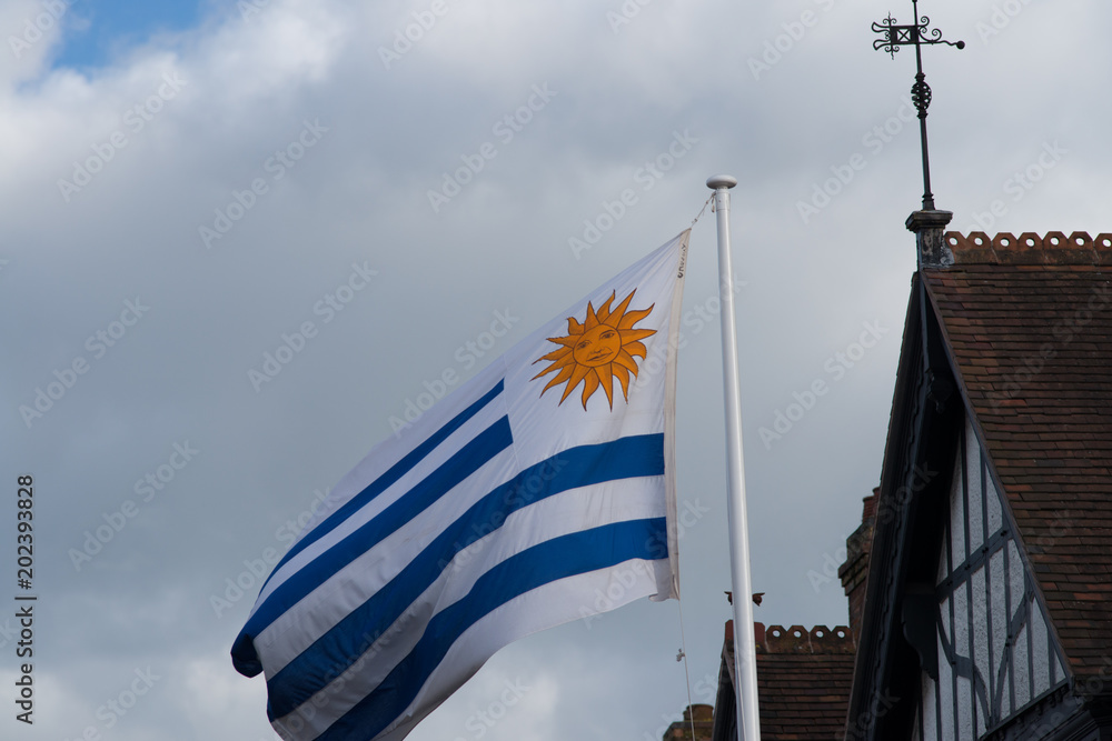 Fototapeta premium close up of national flag of Uruguay blowing in the wind with blue sky in background