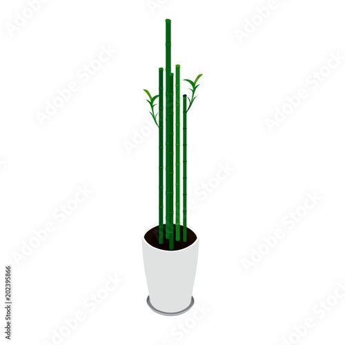 Bamboo in flowerpot. Vector