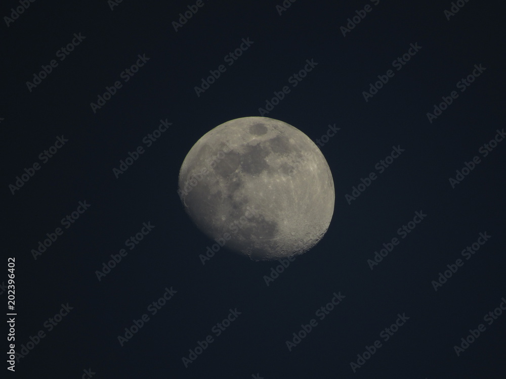 Moon Moon
