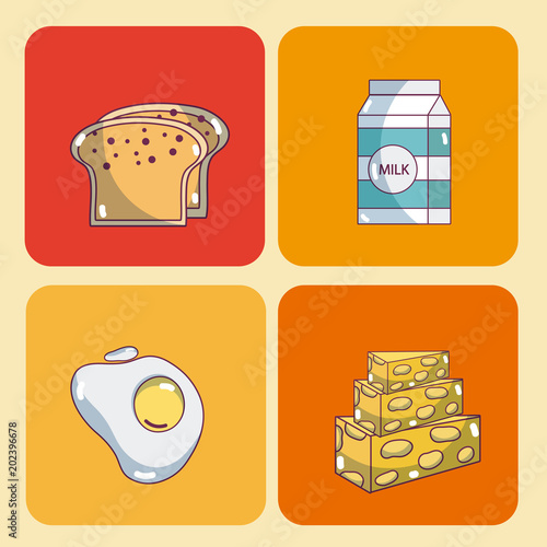 Set of food collection