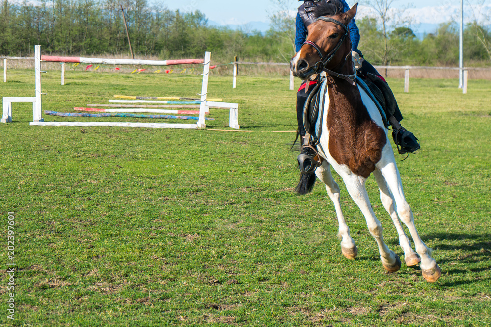 a small rider trains a horse on the green grass of a racetrack a small rider trains a horse on the green grass of a racetrack