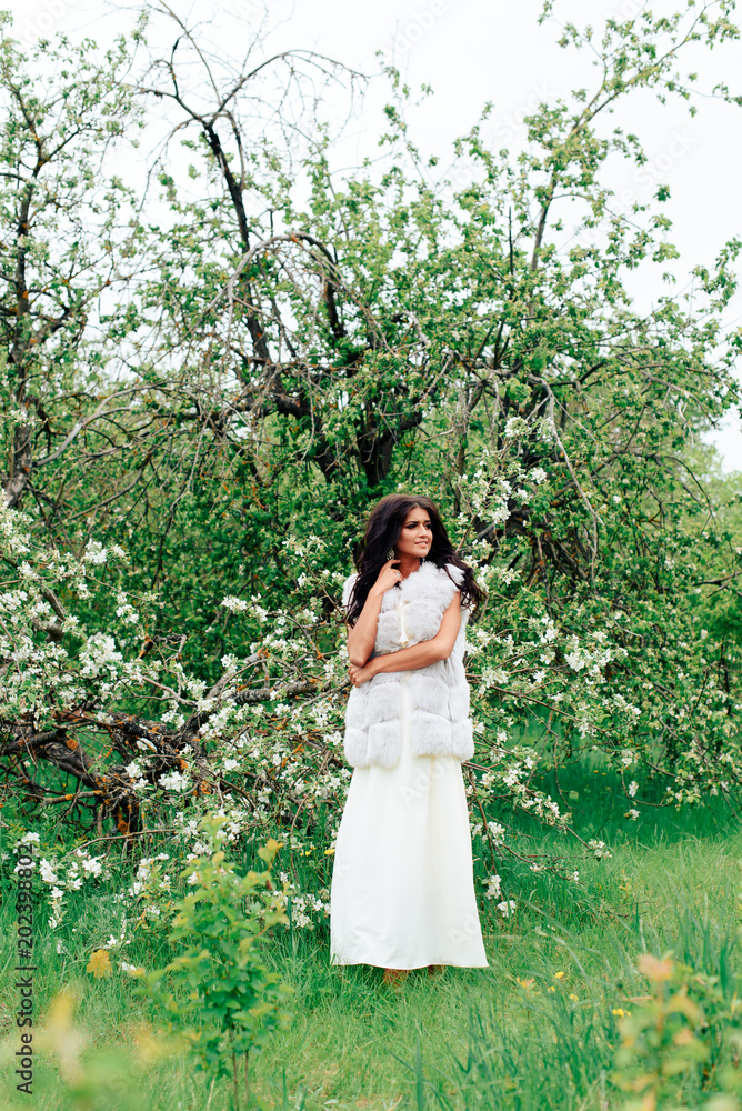 beautiful young girl in white dress in spring blossoming apple orchards beautiful young girl in white dress in spring blossoming apple orchards
